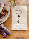 Handmade Typewritten Book of Poems